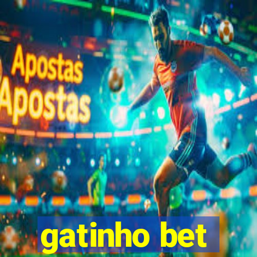 gatinho bet